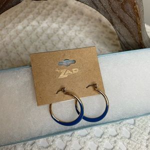ZAD Hoop Enamel Earrings